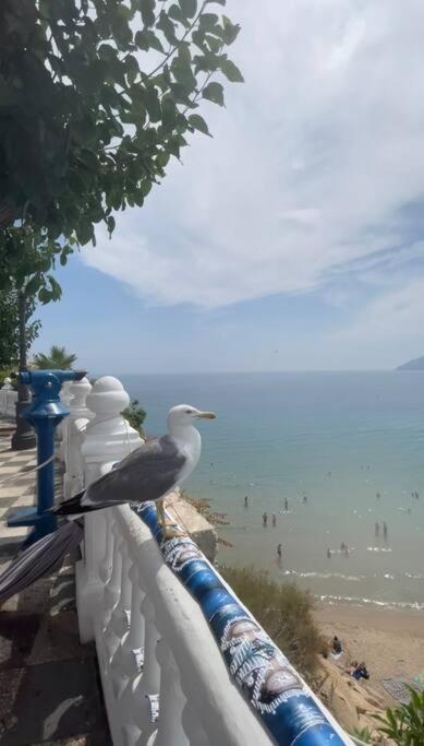 Appartement Apartamento céntrico y en primera línea de playa à Benidorm Extérieur photo