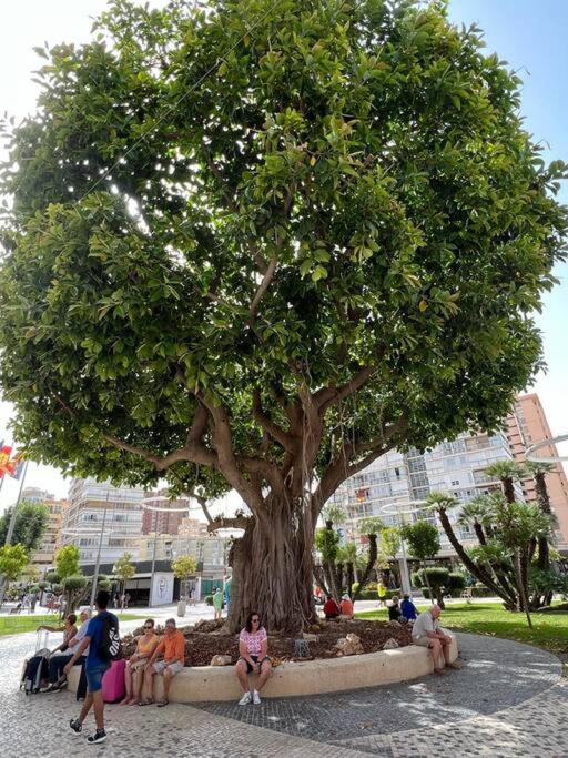 Appartement Apartamento céntrico y en primera línea de playa à Benidorm Extérieur photo
